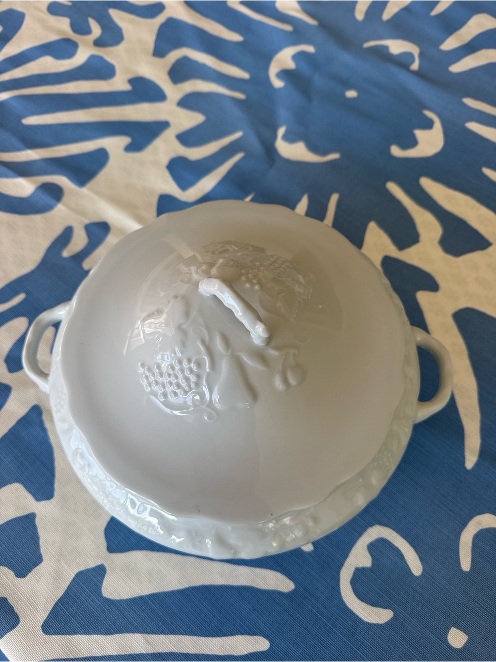 French Limoge Tureen fruit and vine pattern